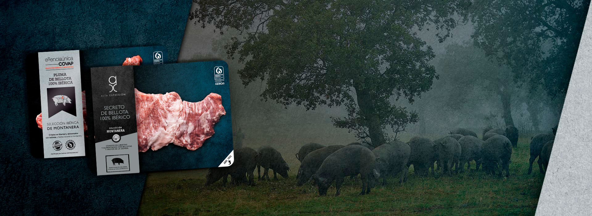 Banner Carne Fresca de Montanera